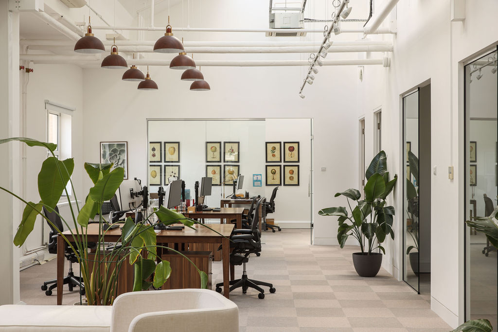 The London Office — Desks & botanical gallery